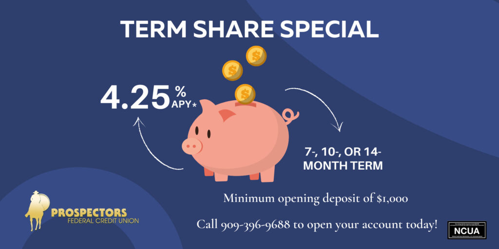 term share special